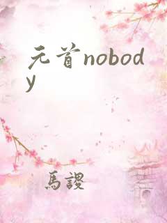 元首nobody