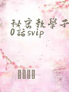 秘密教学子豪60话svip