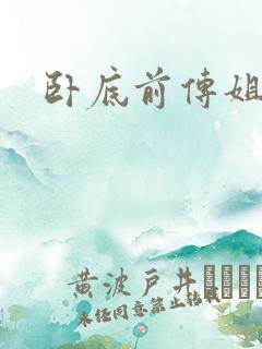 卧底前传姐妹篇