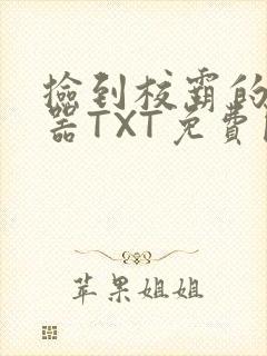 捡到校霸的遥控器TXT免费阅读