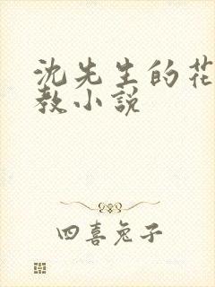 沈先生的花式调教小说