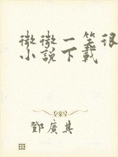 微微一笑很倾城小说下载