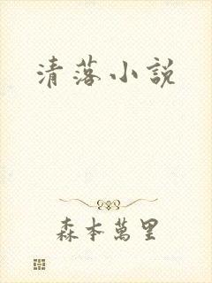 清落小说