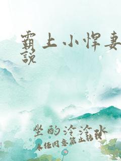 霸上小悍妻 小说