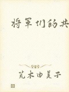 将军们的共妻H