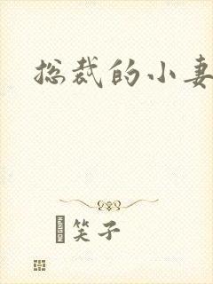 总裁的小妻子