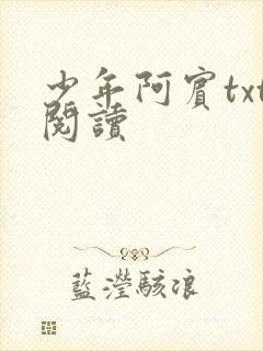 少年阿宾txt阅读