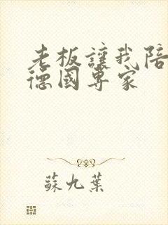 老板让我陪两个德国专家