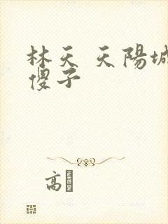 林天 天阳城 傻子
