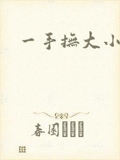 一手抚大小说