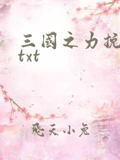 三国之力挽狂澜txt