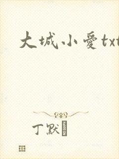 大城小爱txt