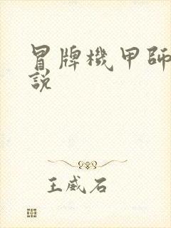 冒牌机甲师 小说