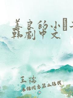 善良的小峓子2韩剧中文