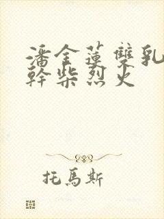 潘金莲双乳晃动干柴烈火