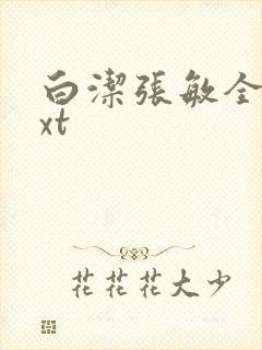 白洁张敏全集txt