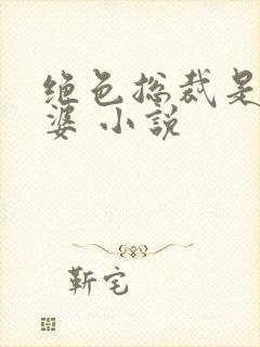 绝色总裁是我老婆 小说