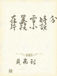 在暴雪时分高能片段小说