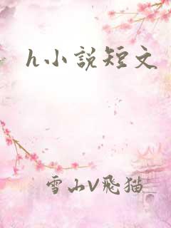 h小说短文