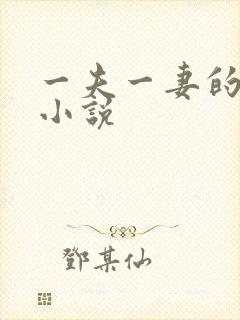 一夫一妻的玄幻小说