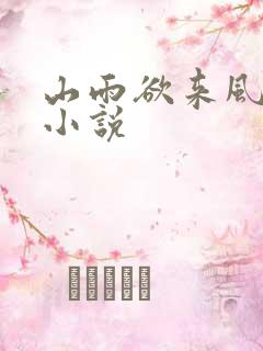 山雨欲来风满楼小说