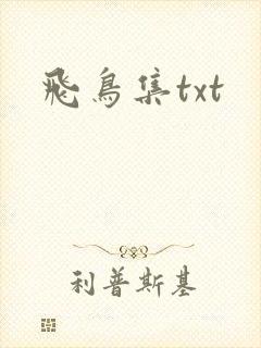 飞鸟集txt