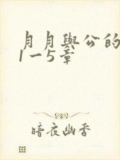 月月与公的激情1一5章