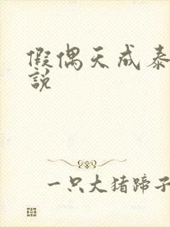 假偶天成泰剧小说