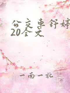 公交车舒婷1一20全文