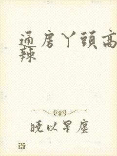 通房丫头高h肉辣