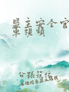 盟主安全官开火车视频