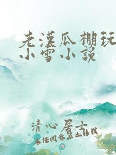 老汉瓜棚玩小丹小雪小说