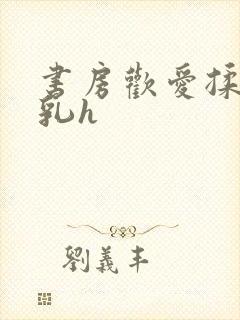 书房欢爱揉捏娇乳h