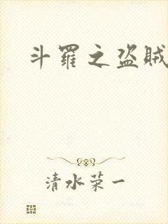斗罗之盗贼