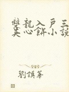 双龙入户三人行夹心饼小说