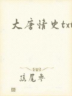 大唐情史txt