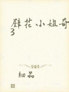 壁花小姐奇遇记3