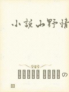 小说山野情债