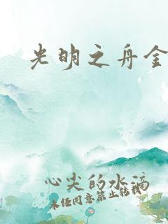 光明之舟金手指