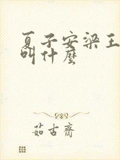 夏子安梁王书名叫什么