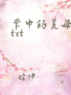 掌中的美母版主txt