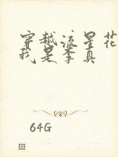 穿越流星花园之我是李真