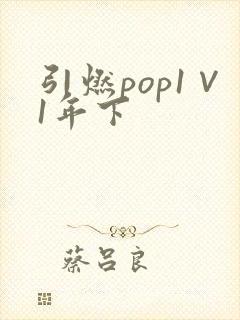 引燃pop1∨1年下