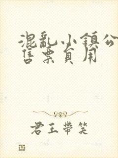 混乱小镇公交车售票员用