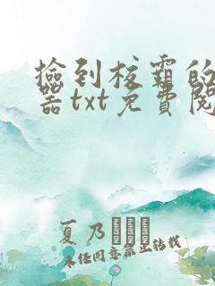 捡到校霸的遥控器txt免费阅读