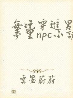 每晚穿进男神的梦里npc小说