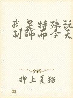 我是特殊玩具定制师而今天的客户