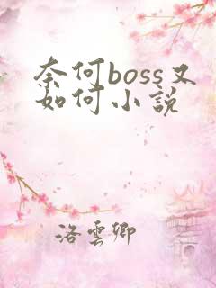 奈何boss又如何小说
