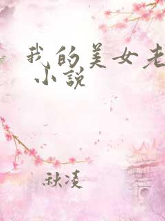 我的美女老婆们 小说