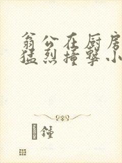 翁公在厨房和我猛烈撞击小说